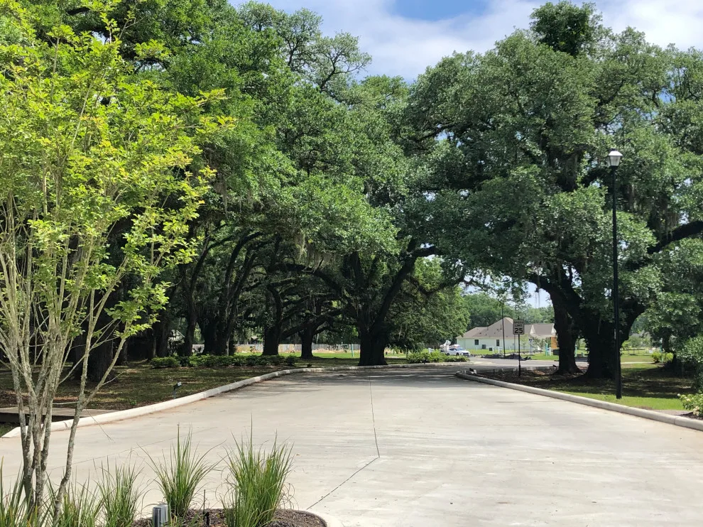 Tree Haven by Patterson Homes, LLC - Photo 11