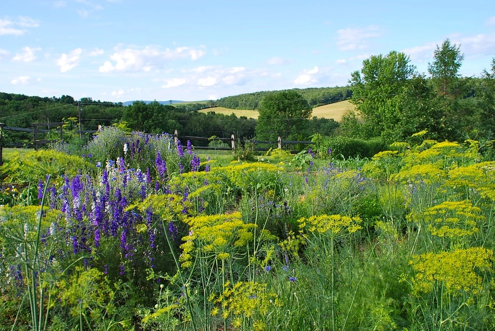 Favorite Plant Palette by Bethesda Garden Design Llc - Photo 7