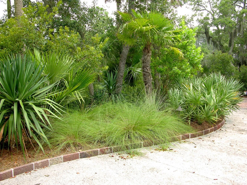 Kiawah Island Residence by Verdant Enterprises - Photo 3