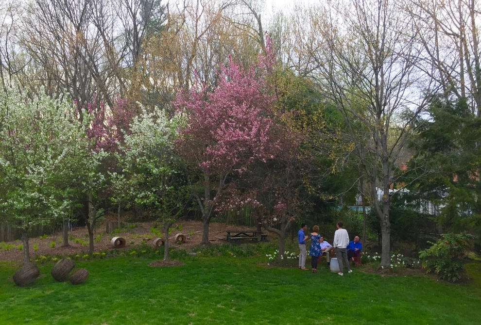 Entertaining in the Backyard by Bethesda Garden Design Llc - Photo 2