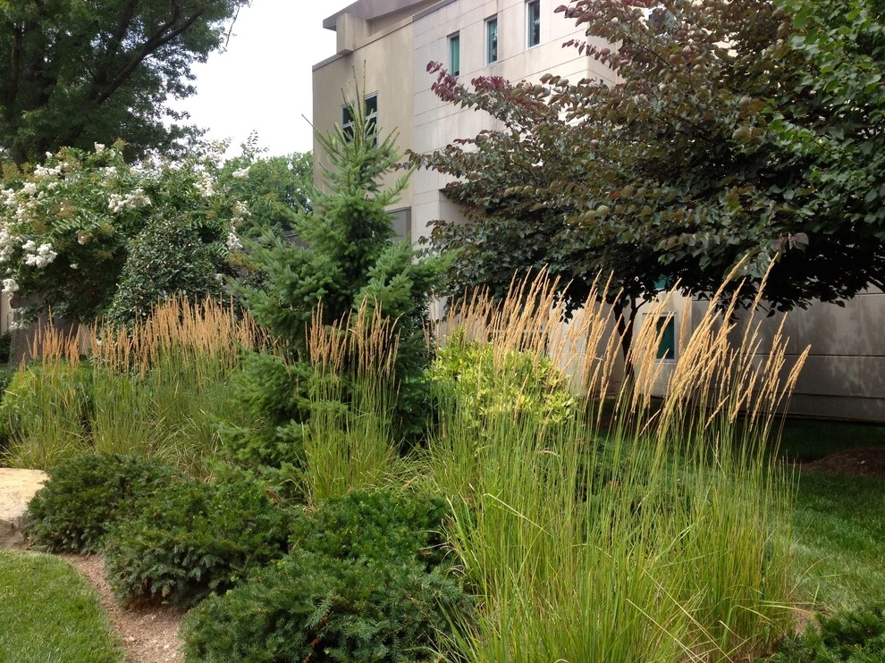 Beth El on Old Georgetown Road, Bethesda by Bethesda Garden Design Llc - Photo 6