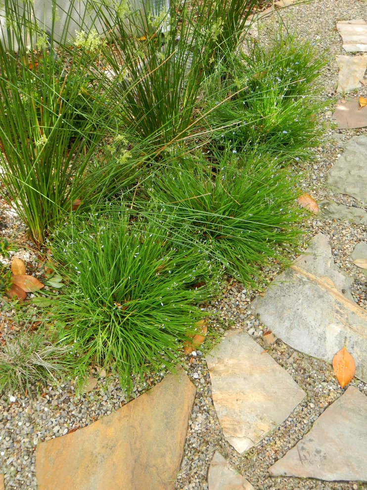 Verdant Enterprises - Photo 3