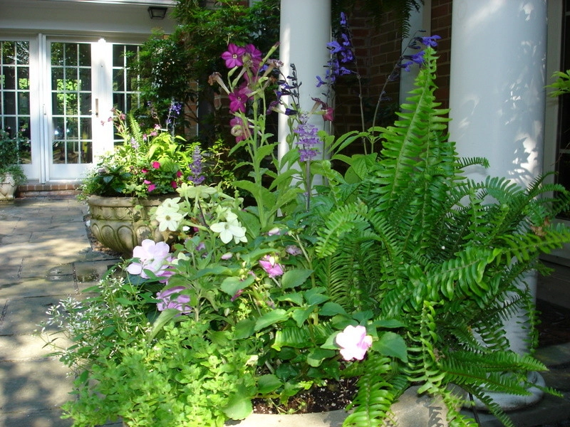 Containers, DC Metro Area by Bethesda Garden Design Llc - Photo 10