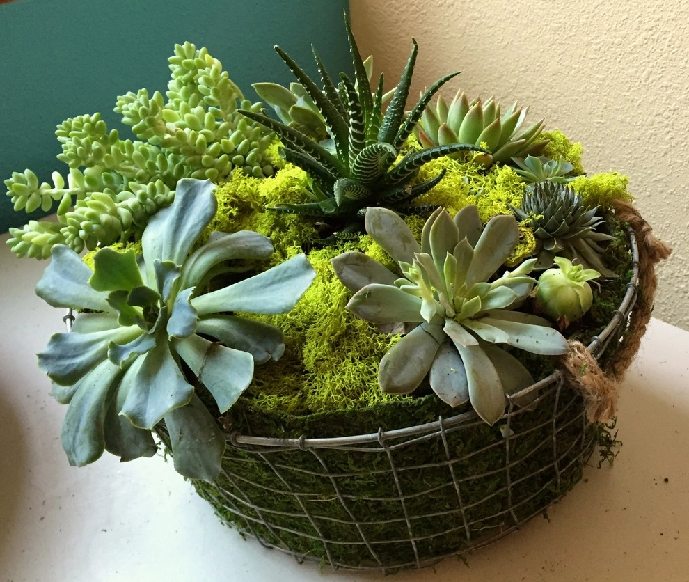 Nature in a Vase by Bethesda Garden Design Llc - Photo 4