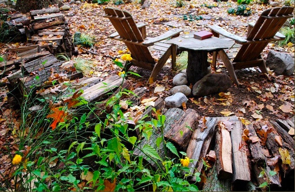 Into the Woods, Potomac by Bethesda Garden Design Llc - Photo 5