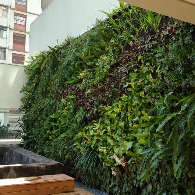 Vertical Gardens by Verde Vertical Inc by Verde Vertical Inc - Photo 8