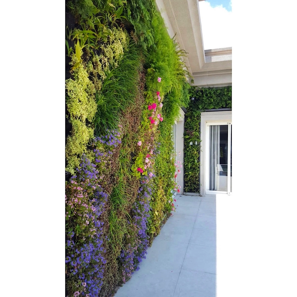 Vertical Gardens by Verde Vertical Inc by Verde Vertical Inc - Photo 20