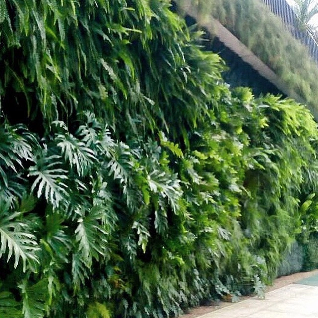 Vertical Gardens by Verde Vertical Inc by Verde Vertical Inc - Photo 9
