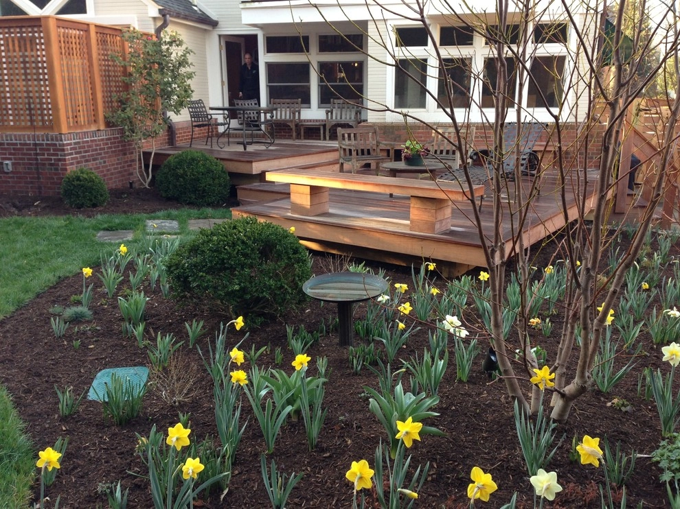 Contemporary Play, Chevy Chase by Bethesda Garden Design Llc - Photo 3