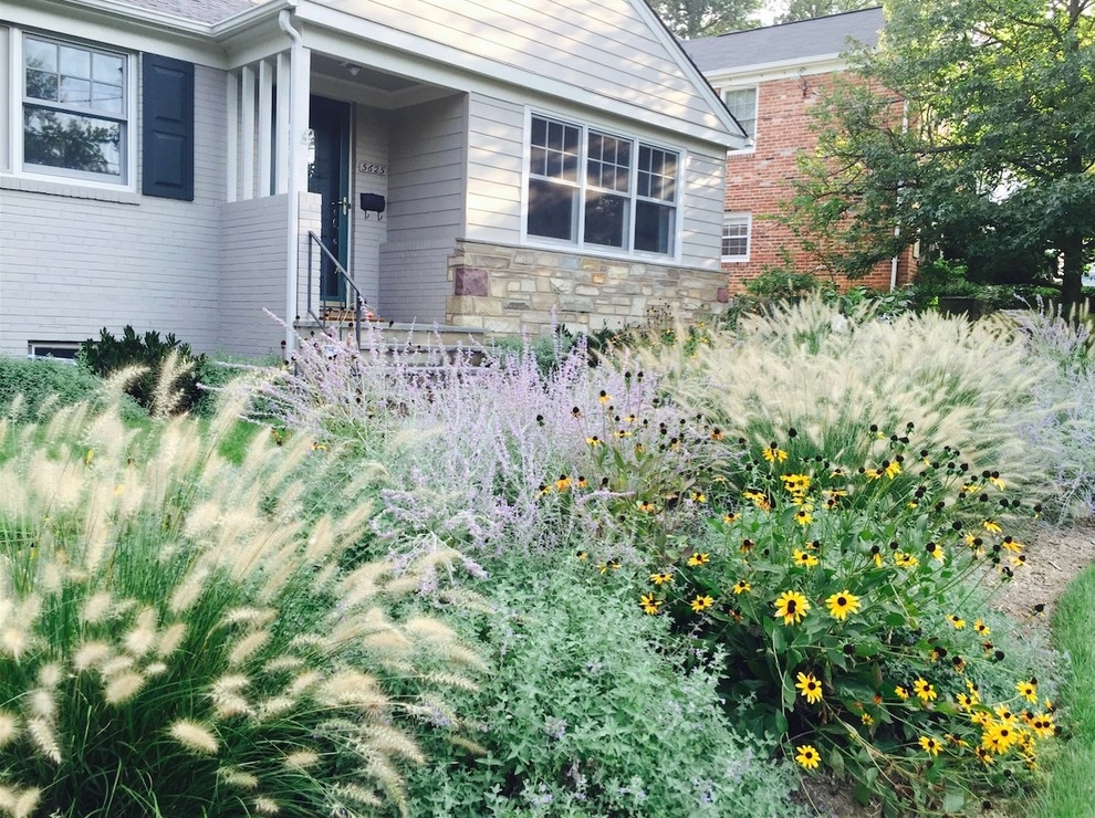 Favorite Plant Palette by Bethesda Garden Design Llc - Photo 6