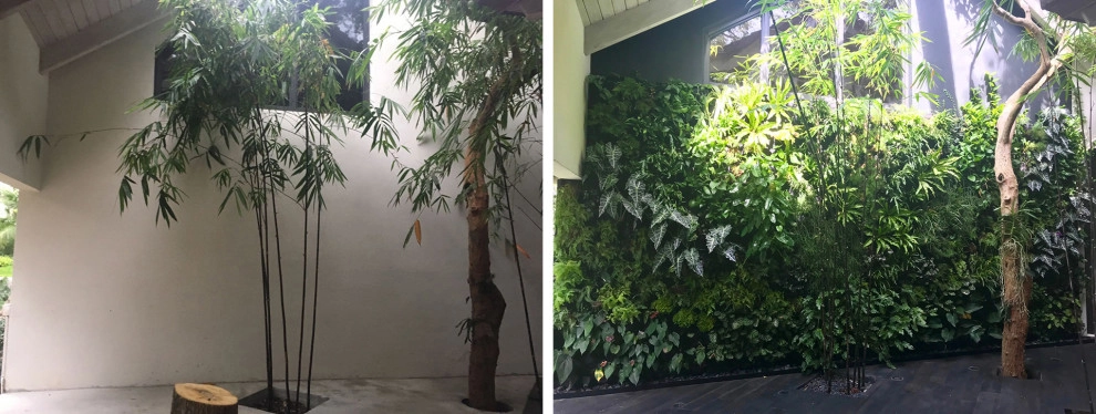 Before and After by Verde Vertical Inc - Photo 4