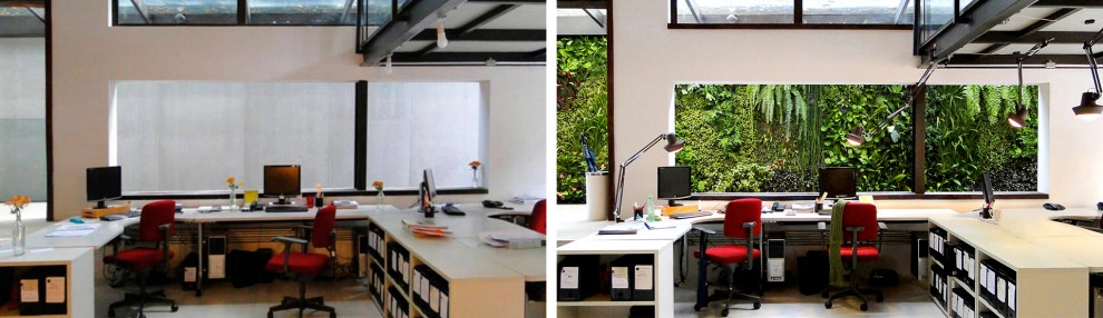 Before and After by Verde Vertical Inc - Photo 16