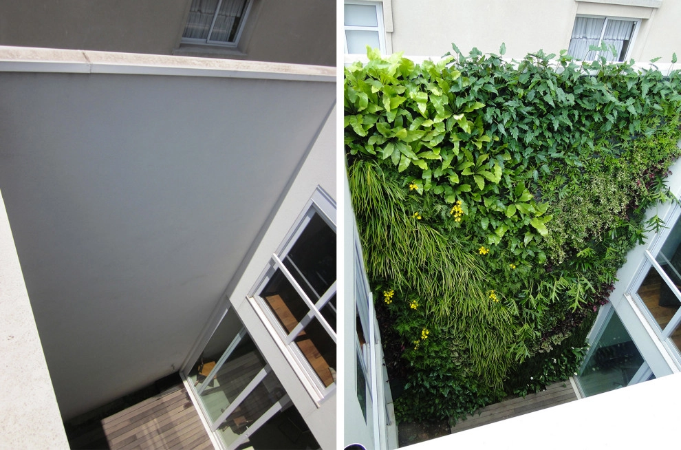 Before and After by Verde Vertical Inc - Photo 11