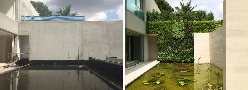 Before and After by Verde Vertical Inc - Photo 23