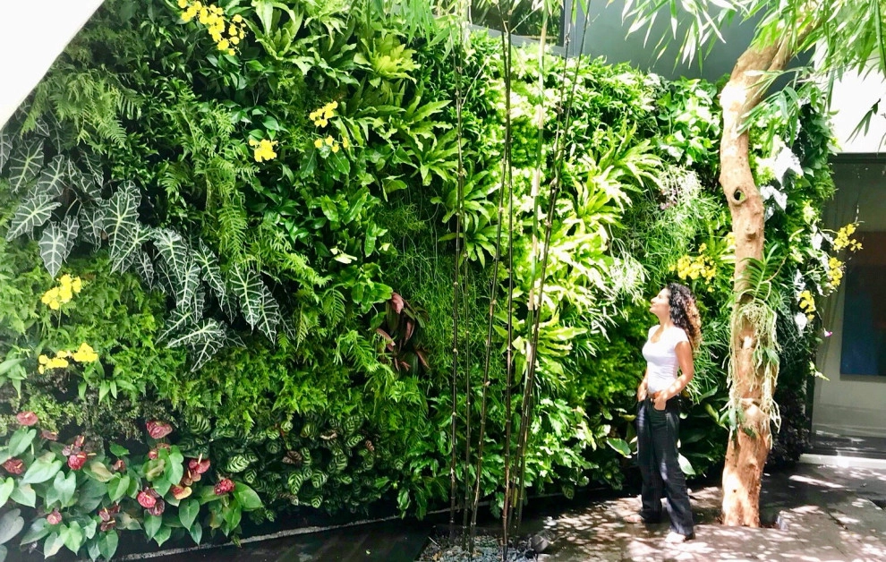 Vertical Gardens by Verde Vertical Inc by Verde Vertical Inc - Photo 26