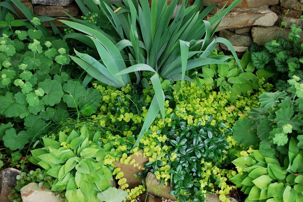 Favorite Plant Palette by Bethesda Garden Design Llc - Photo 2