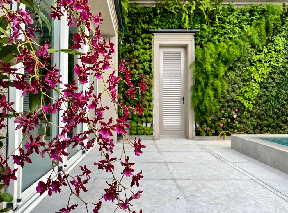 Vertical Gardens by Verde Vertical Inc by Verde Vertical Inc - Photo 19