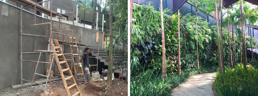 Before and After by Verde Vertical Inc - Photo 17