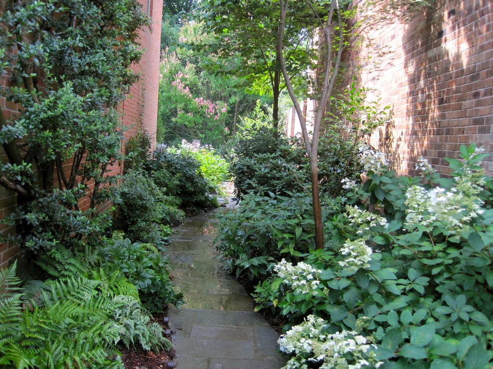 A Few Other Projects, DC Metro Area by Bethesda Garden Design Llc - Photo 10
