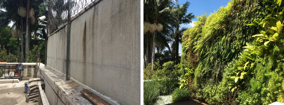 Before and After by Verde Vertical Inc - Photo 27