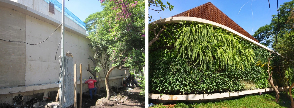 Before and After by Verde Vertical Inc - Photo 5