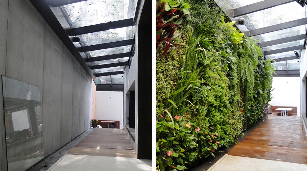 Before and After by Verde Vertical Inc - Photo 21