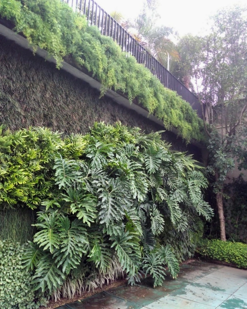 Vertical Gardens by Verde Vertical Inc by Verde Vertical Inc - Photo 4