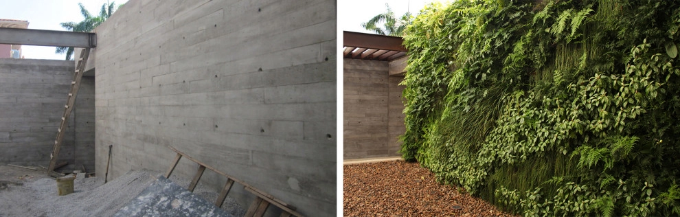 Before and After by Verde Vertical Inc - Photo 13