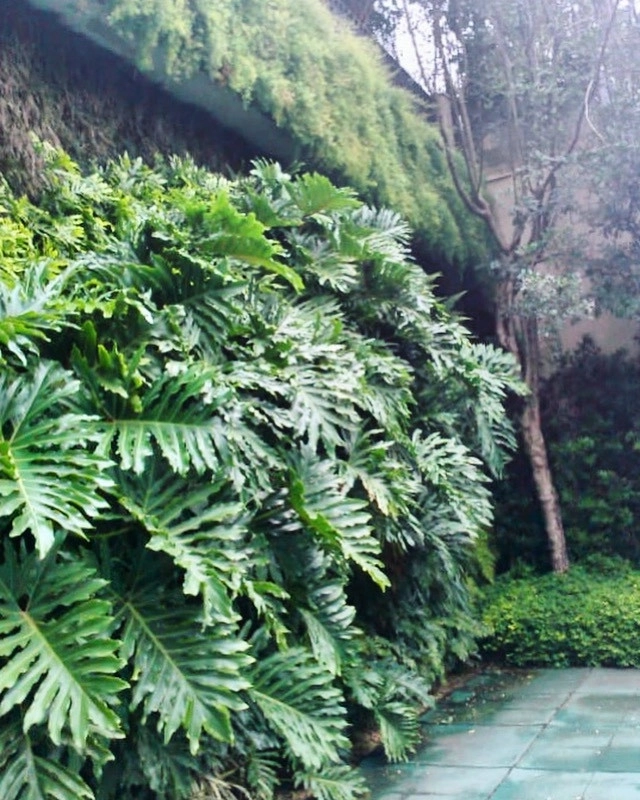 Vertical Gardens by Verde Vertical Inc by Verde Vertical Inc - Photo 23