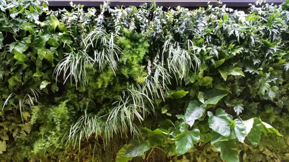 Vertical Gardens by Verde Vertical Inc by Verde Vertical Inc - Photo 12