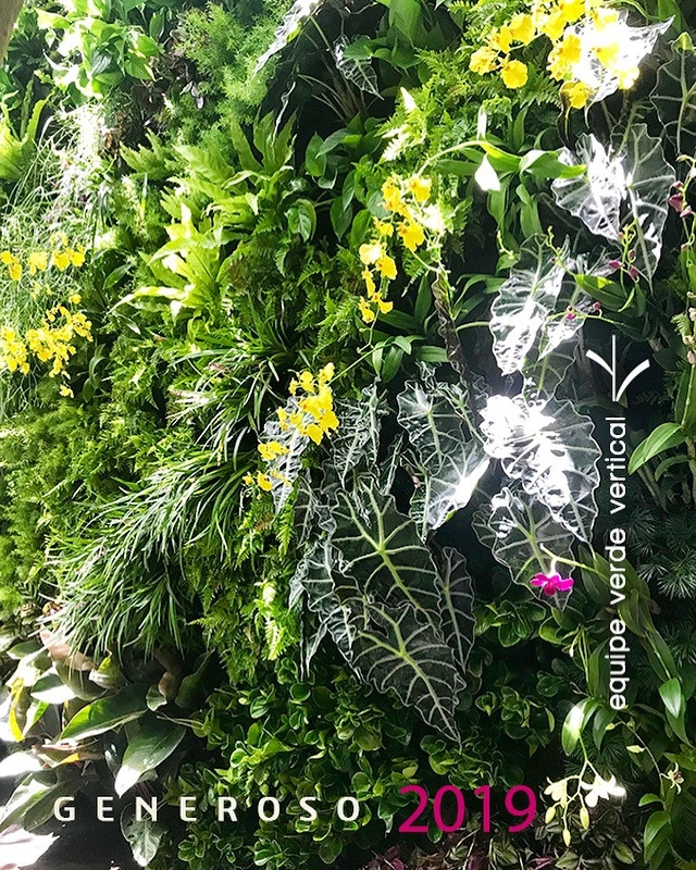 Vertical Gardens by Verde Vertical Inc by Verde Vertical Inc - Photo 5