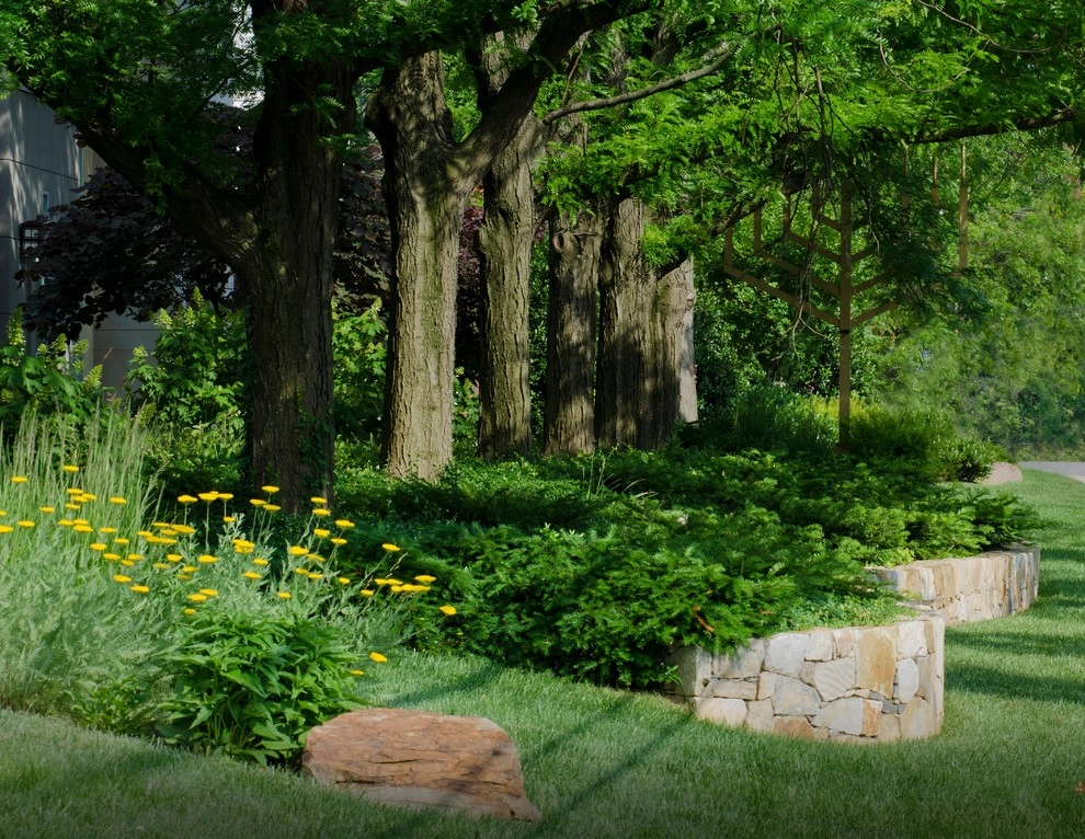 Beth El on Old Georgetown Road, Bethesda by Bethesda Garden Design Llc - Photo 7