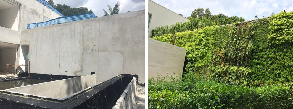 Before and After by Verde Vertical Inc - Photo 9