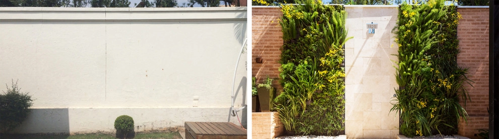 Before and After by Verde Vertical Inc - Photo 10
