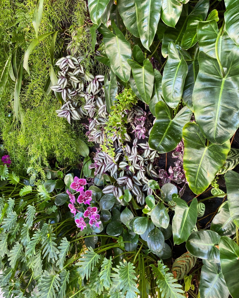 Vertical Gardens by Verde Vertical Inc by Verde Vertical Inc - Photo 7