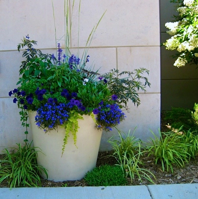 Containers, DC Metro Area by Bethesda Garden Design Llc - Photo 5