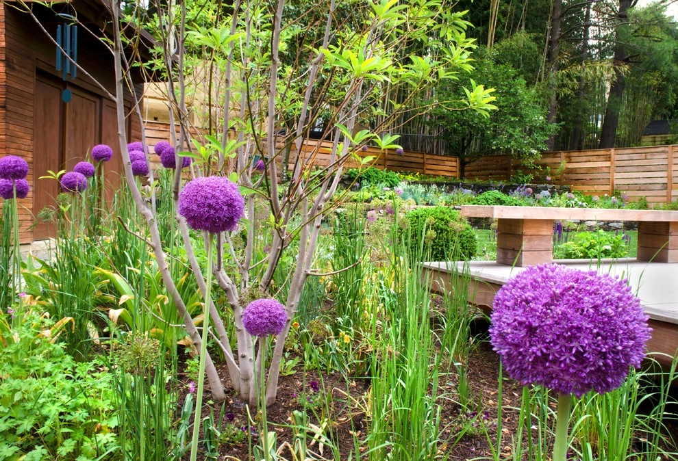 Contemporary Play, Chevy Chase by Bethesda Garden Design Llc - Photo 6