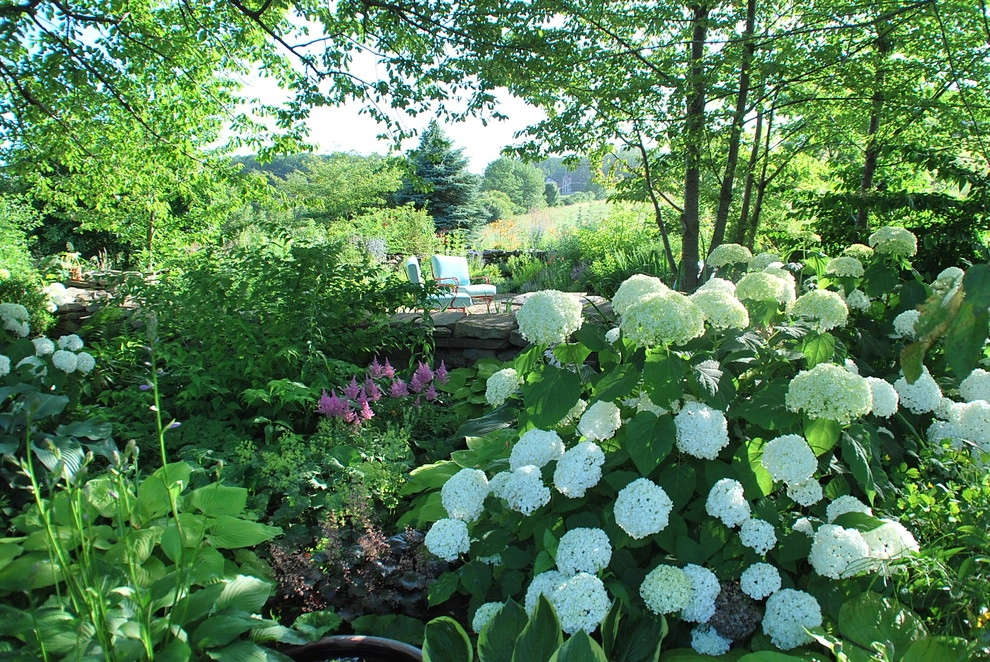 Country Farmhouse Garden by Bethesda Garden Design Llc - Photo 6