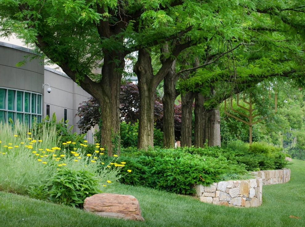 Beth El on Old Georgetown Road, Bethesda by Bethesda Garden Design Llc - Photo 4