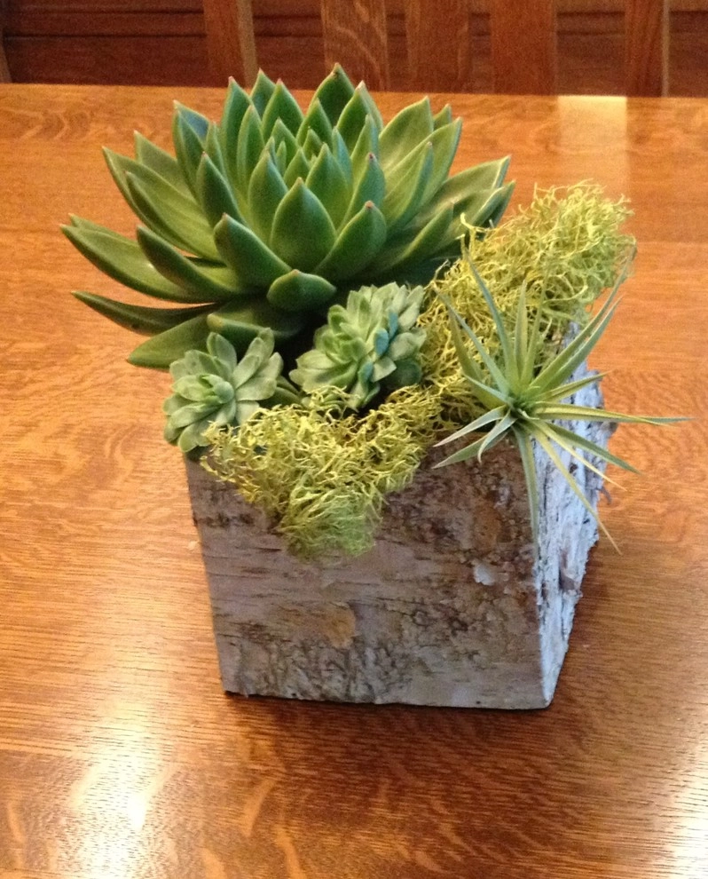 Nature in a Vase by Bethesda Garden Design Llc - Photo 12
