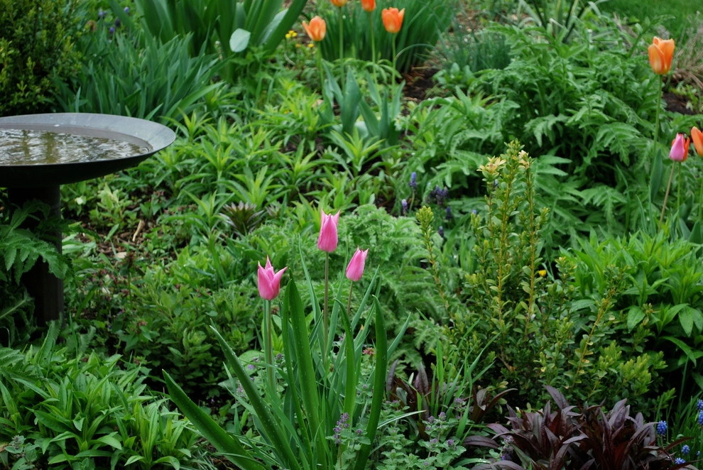 Favorite Plant Palette by Bethesda Garden Design Llc - Photo 4