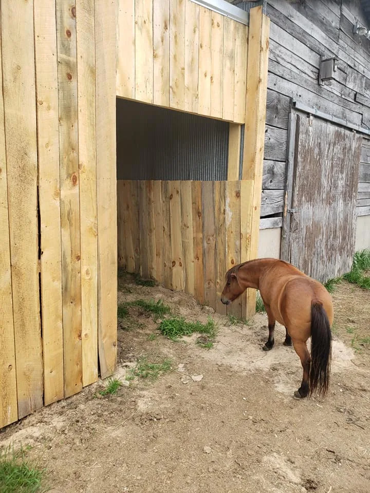 Barn expansion by JC Construction Company, Inc. - Photo 6