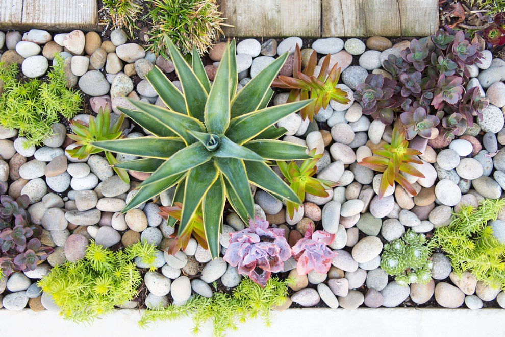 Viola Gardens - Photo 13