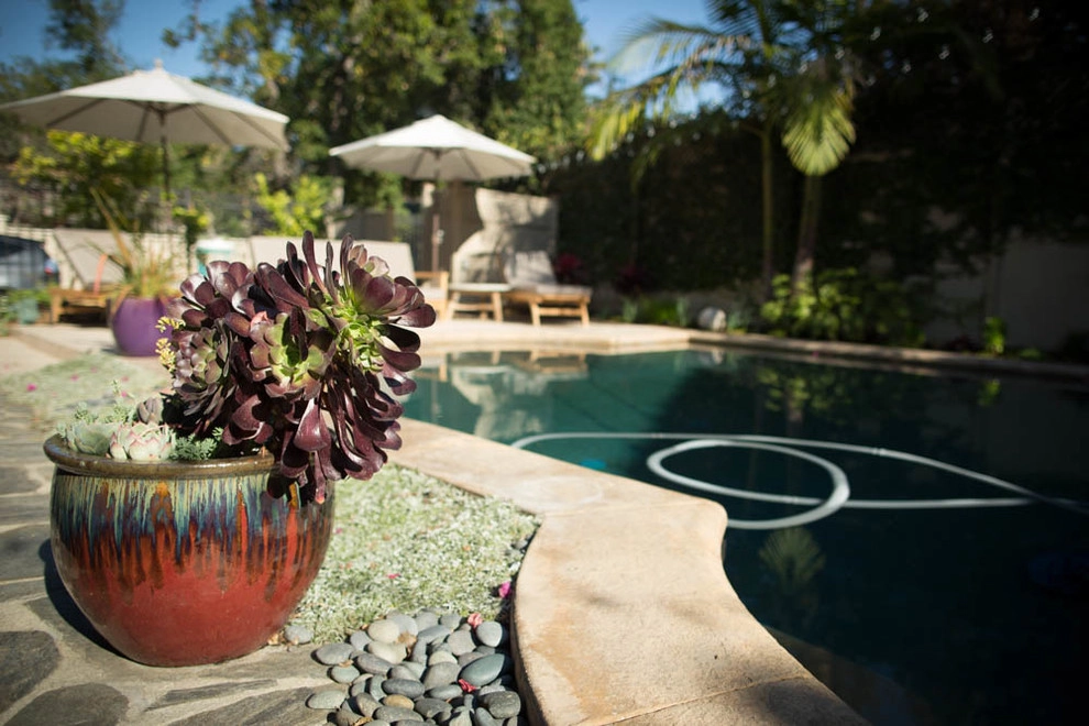 Viola Gardens Drought Tolerant Landscape Projects by Viola Gardens - Photo 4