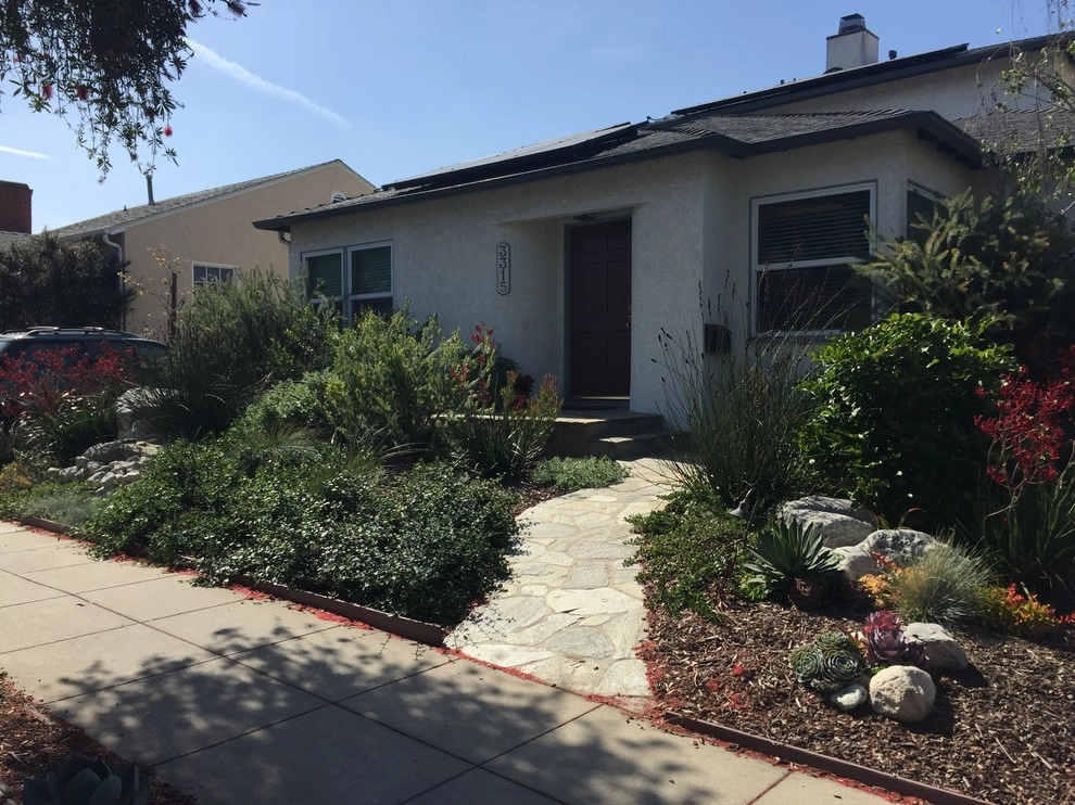 Viola Gardens Drought Tolerant Landscape Projects by Viola Gardens - Photo 20