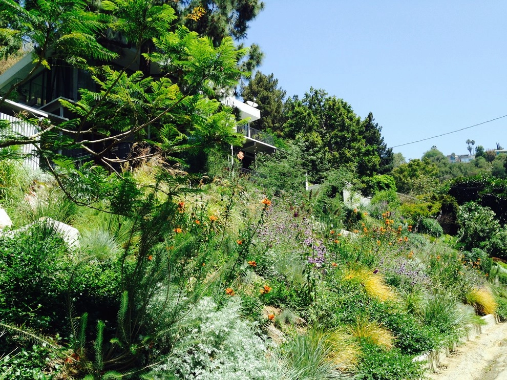 Viola Gardens - Photo 5