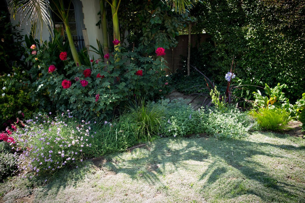 Viola Gardens Drought Tolerant Landscape Projects by Viola Gardens - Photo 12