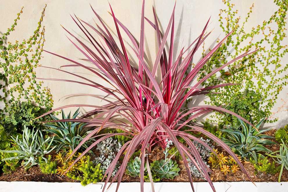Larissa Drive Drought Tolerant Garden by Viola Gardens - Photo 6
