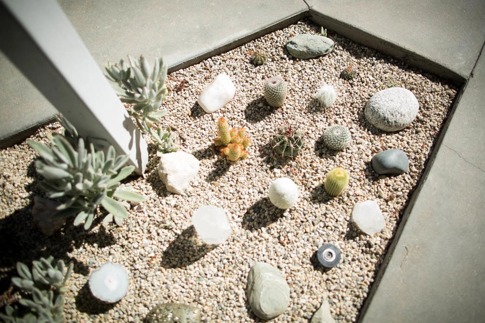 Viola Gardens Drought Tolerant Landscape Projects by Viola Gardens - Photo 25