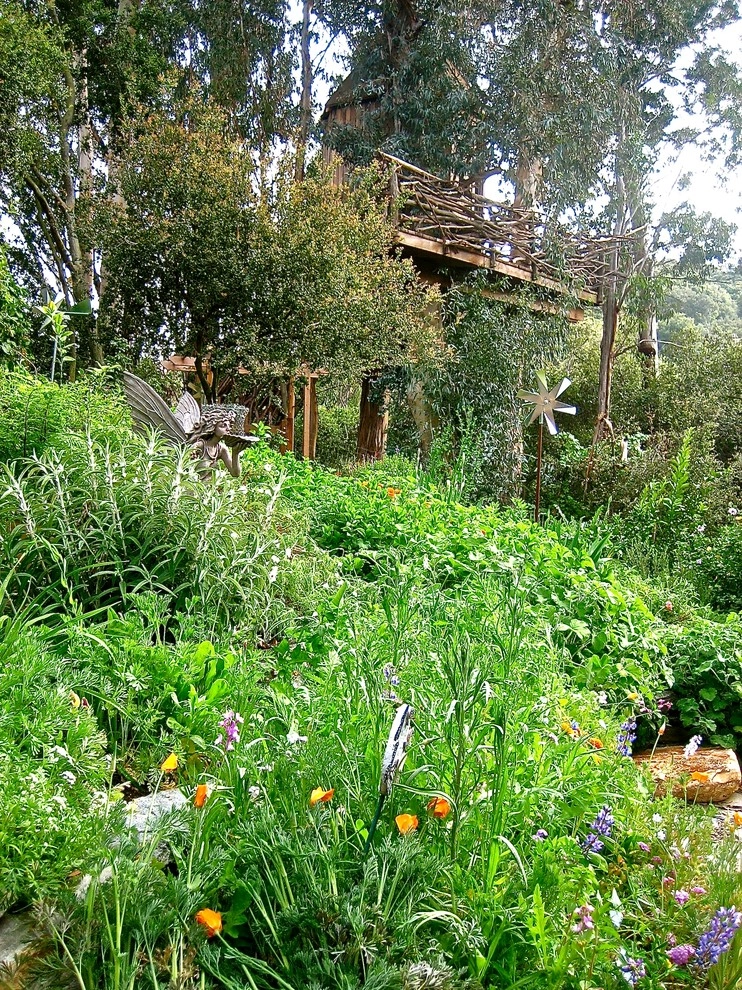 Viola Gardens Drought Tolerant Landscape Projects by Viola Gardens - Photo 7